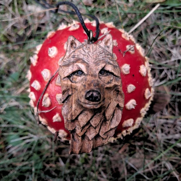 Strażnik Północy / Guardian of the North